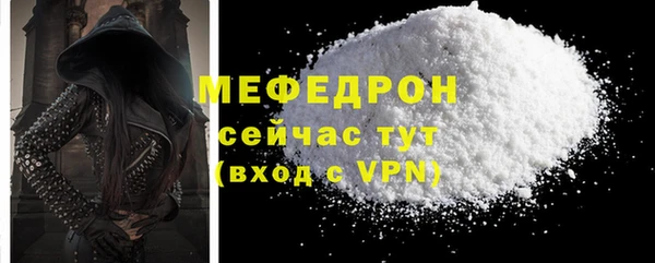 индика Каменка