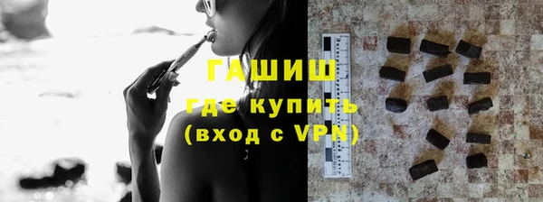 индика Каменка