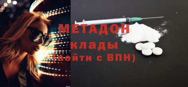индика Каменка
