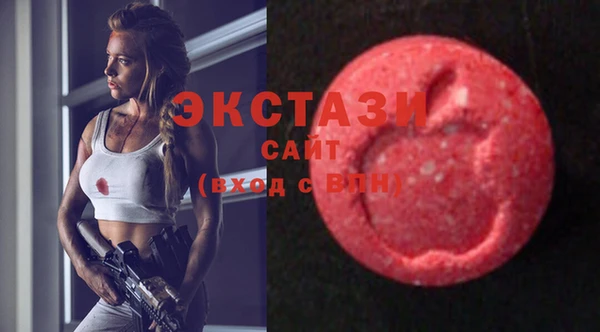 индика Каменка
