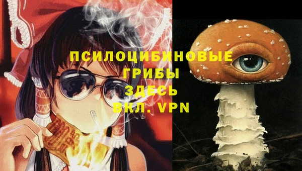 мет Карпинск