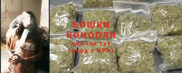 индика Каменка