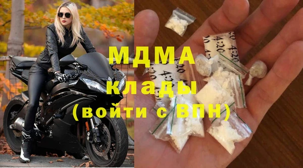 индика Каменка