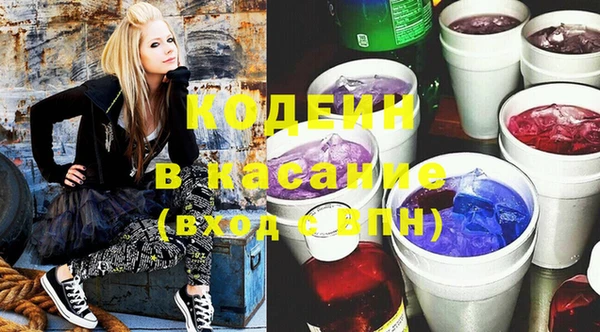 индика Каменка