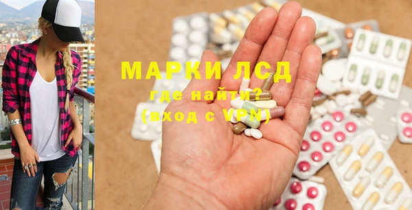 индика Каменка
