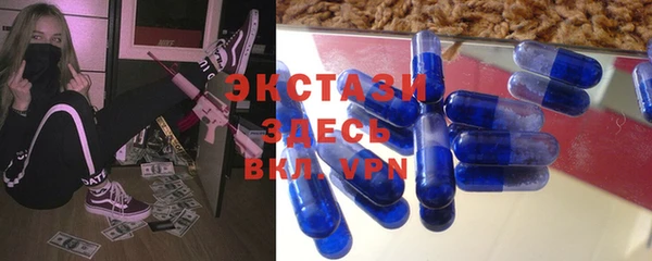 индика Каменка